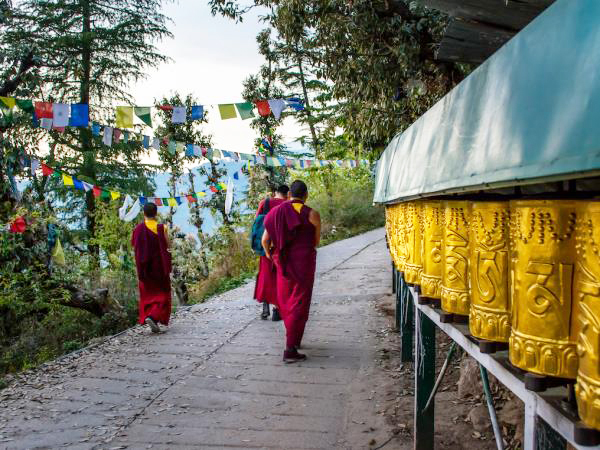 Trekking in the Indian Himalayas