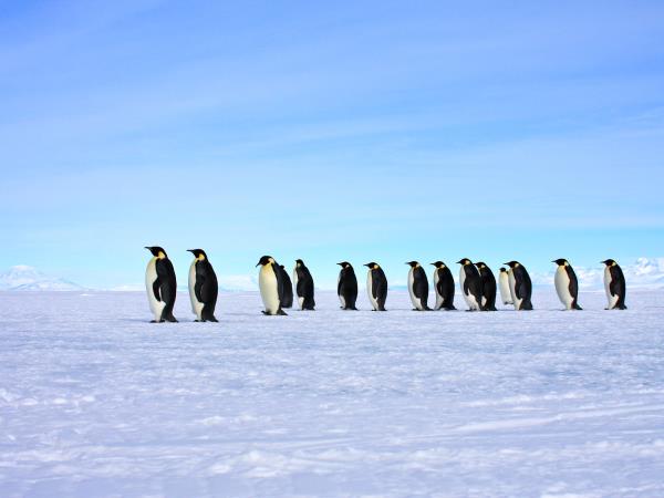 Antarctica semi-circumnavigation cruise