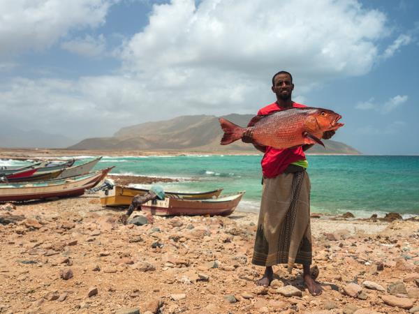 Socotra photography tour in Yemen