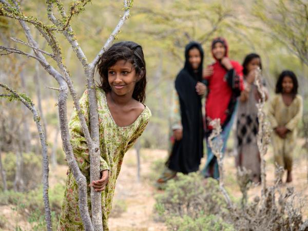 Socotra photography tour in Yemen