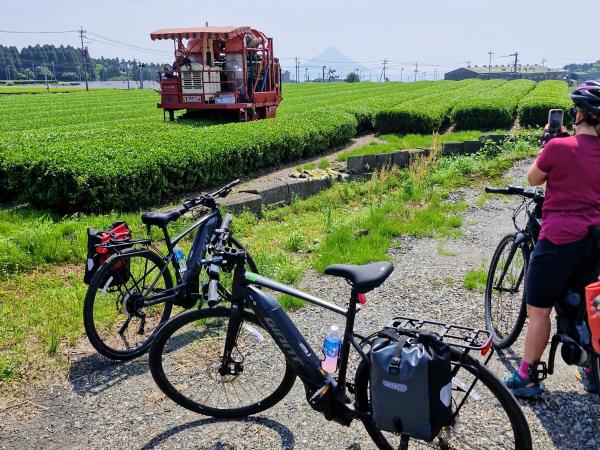 Japan ebike tour