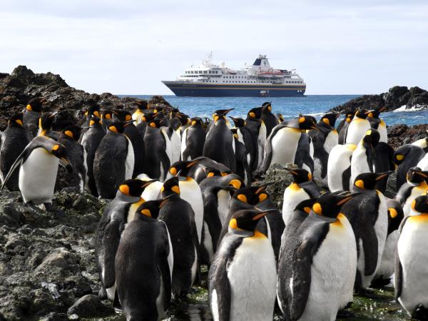 New Zealand and islands bird watching cruise