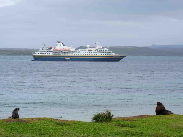 Wildlife Cruise of New Zealand Subantarctic Islands