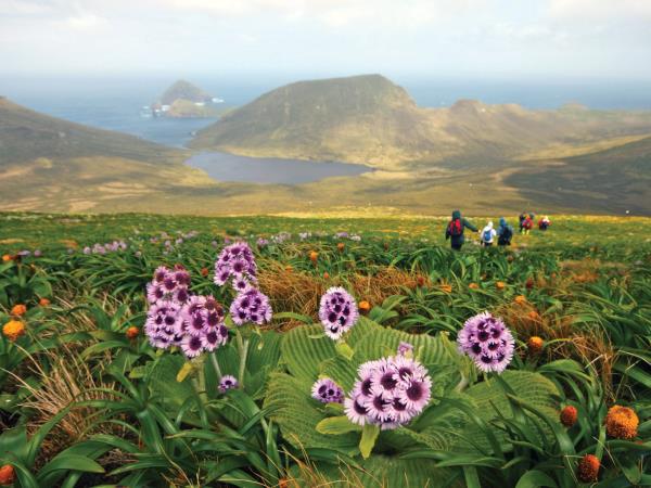 Wildlife Cruise of New Zealand Subantarctic Islands