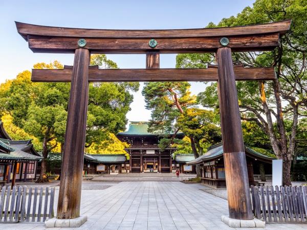 2 Week Japan Family Vacation 