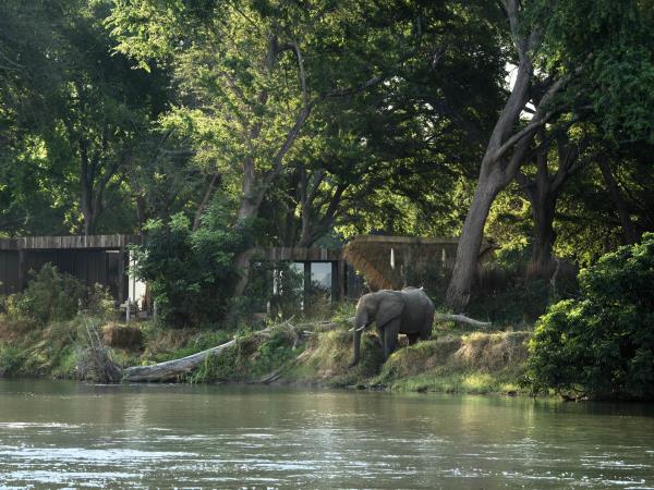Zambia luxury safari