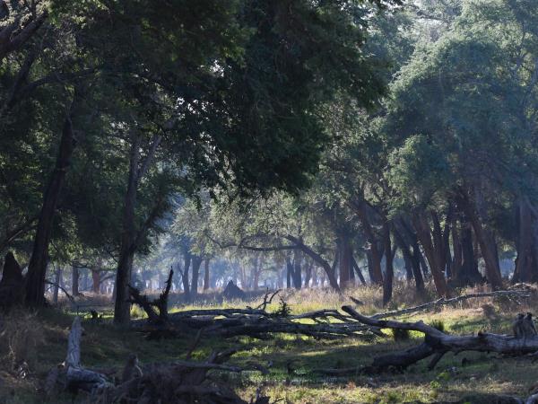 Lower Zambezi and Kafue National Park holiday, Zambia