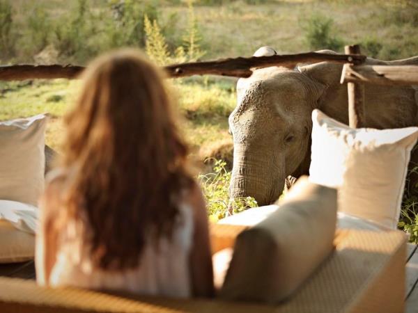Zambia tailor made safari