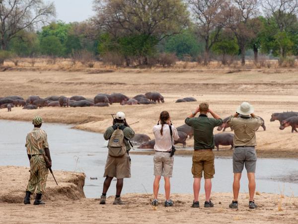 North and south Luangwa exploration, Zambia