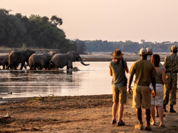 North and south Luangwa exploration, Zambia