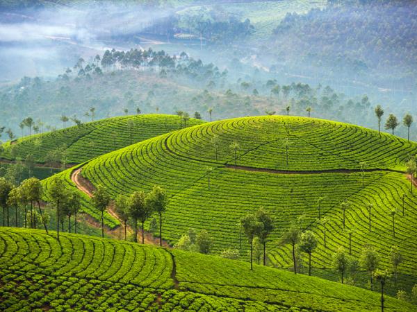 Best of India tour