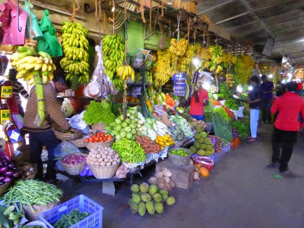 Sri Lanka off the beaten track vacation