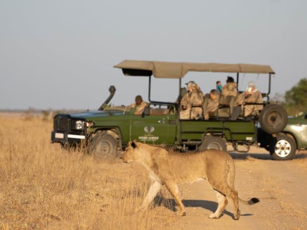 Zimbabwe family safari