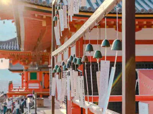 Japan 13 day tour