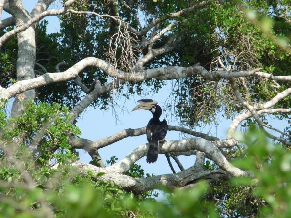 Sri Lanka highlights vacation