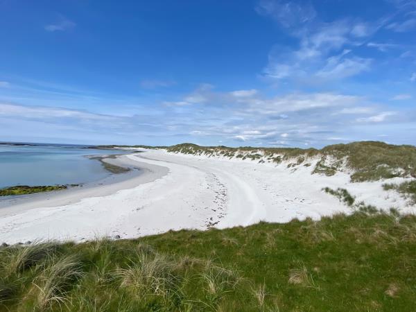 Wildlife sailing holiday in Scotland