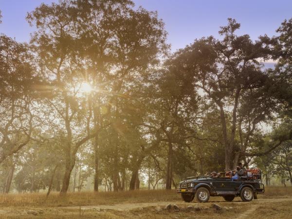 Luxury wildlife holiday in India