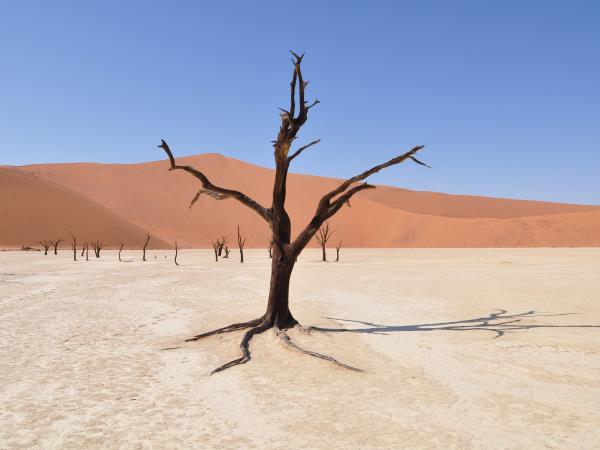 Namibia highlights self drive