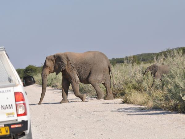 Namibia highlights self drive
