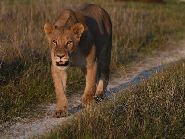 Namibia highlights self drive