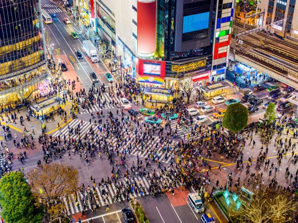 2 Week Japan Family Vacation 