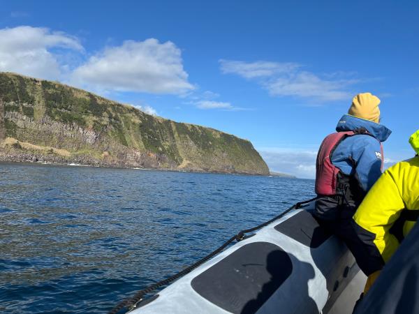 Whale conservation holiday in the Azores 