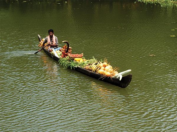 Kerala highlights 14 day tour