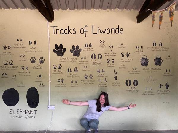 Malawi conservation research experience