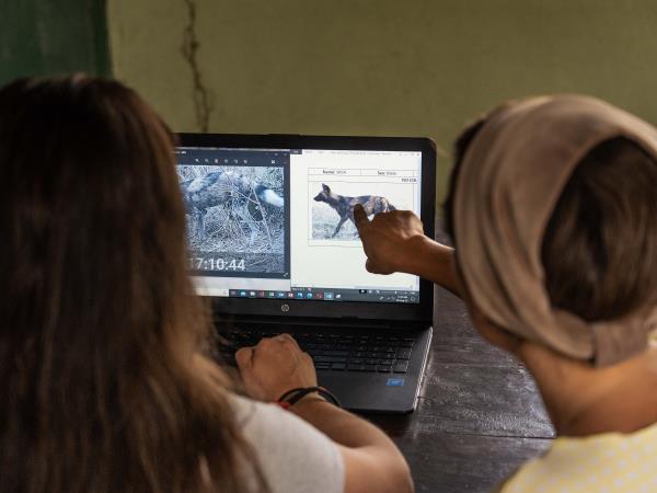 Malawi conservation research experience