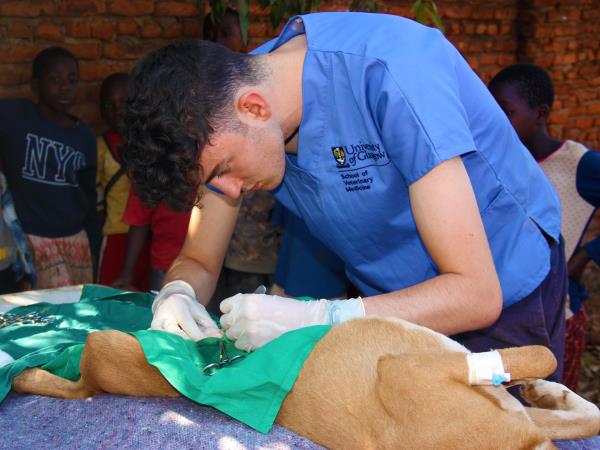 Veterinary medicine course, Malawi