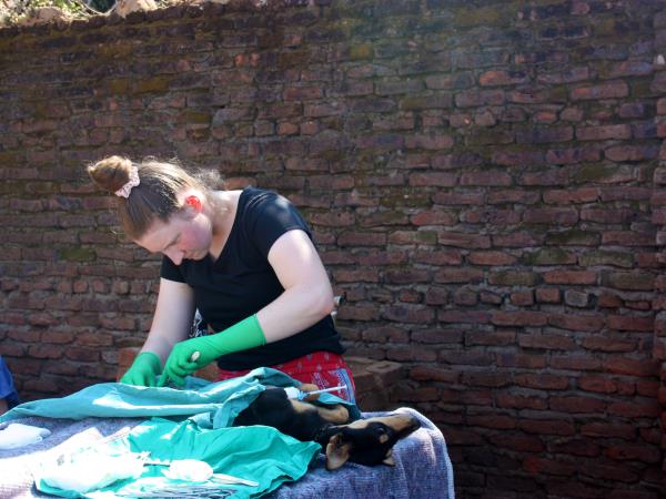 Veterinary medicine course, Malawi