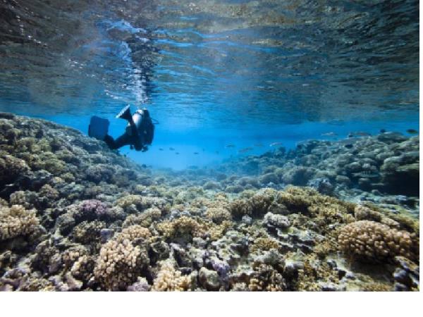 Seychelles 8 day sailing cruise