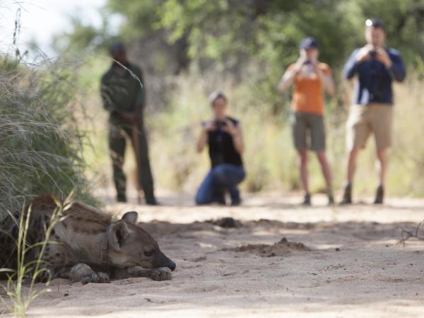 Namibia, Chobe and Victoria Falls vacation