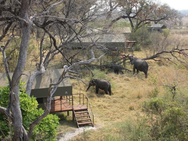 Namibia, Chobe and Victoria Falls vacation
