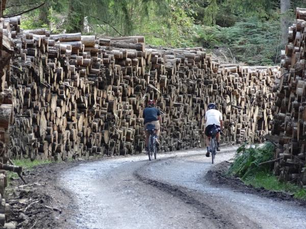 Cambrian Mountains biking vacation in Wales
