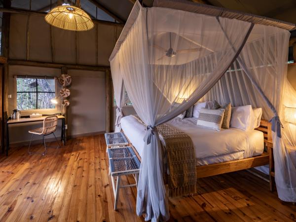 Botswana family safari vacation