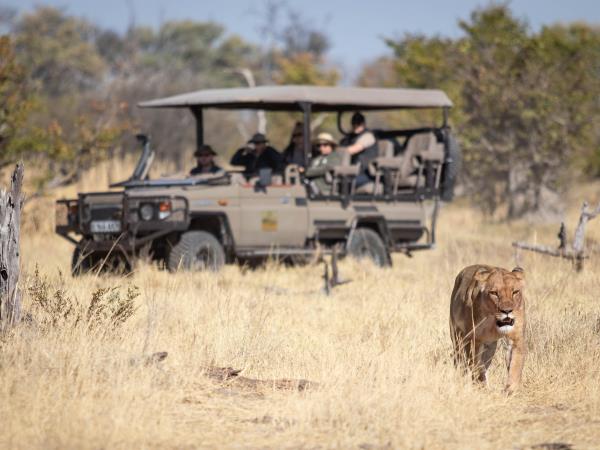 Botswana family safari vacation