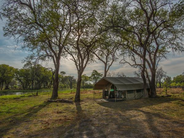Botswana family safari vacation