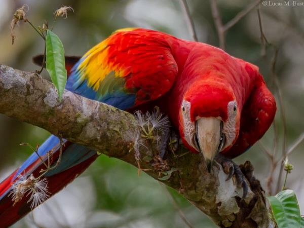 Machu Picchu & the Amazon vacation, Peru