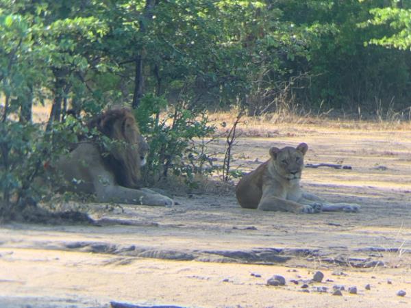 Malawi small group safari