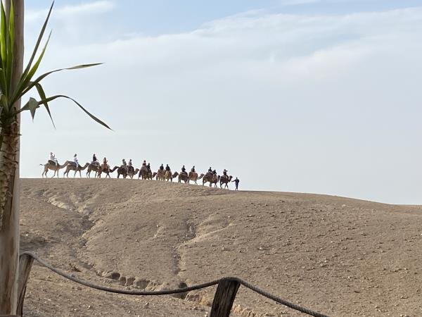 Agafay desert and coast adventure, Morocco