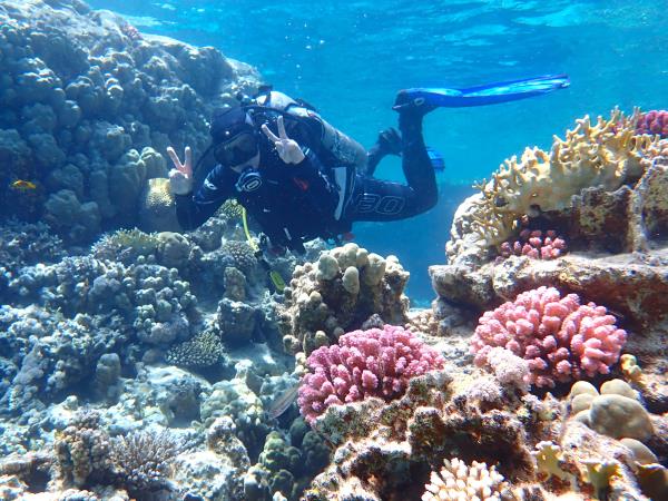 Dahab diving vacations in the Red Sea