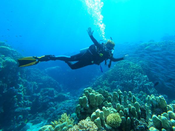 Dahab diving vacations in the Red Sea