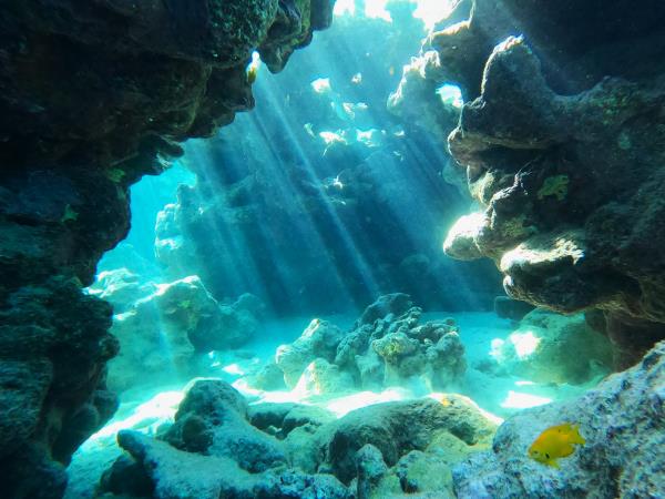 Advanced diving holidays in Dahab