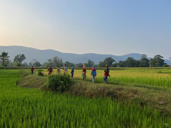 Vacations to Odisha and Bastar, India 
