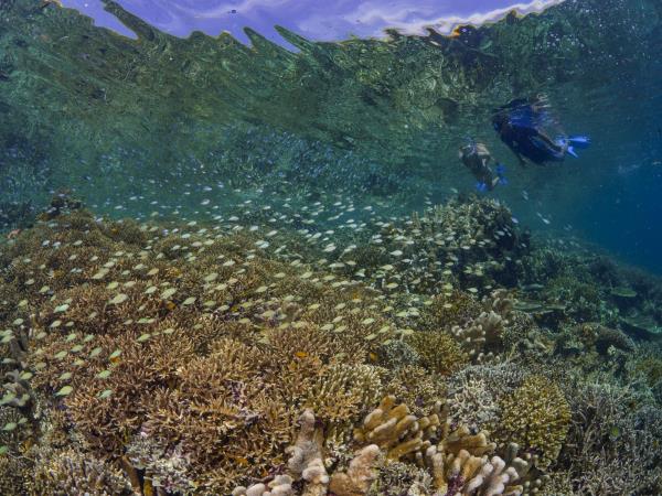 Halmahera snorkeling holiday in Indonesia