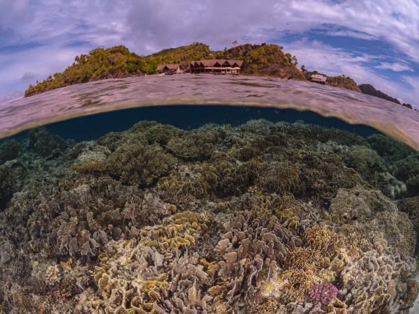 Southern Raja Ampat snorkelling vacation, Indonesia