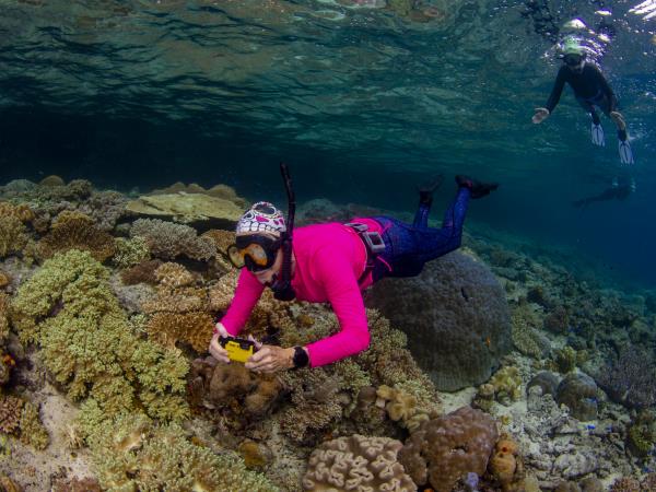 Southern Raja Ampat snorkelling vacation, Indonesia