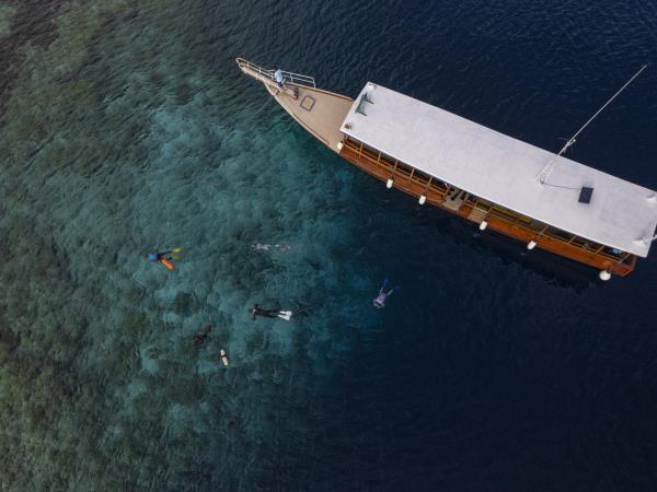 Raja Ampat & Wakatobi snorkeling vacation