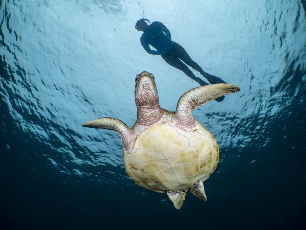 Raja Ampat & Wakatobi snorkeling vacation